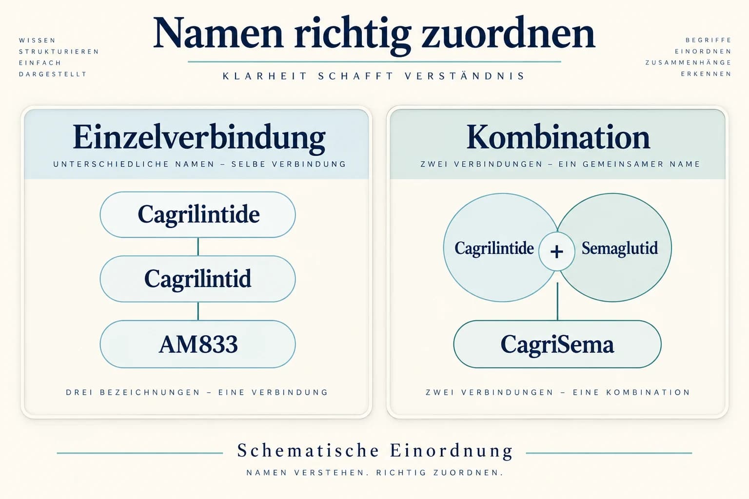 Cagrilintide, Cagrilintid und AM833 als Einzelverbindung gegenüber CagriSema als Kombination mit Semaglutid