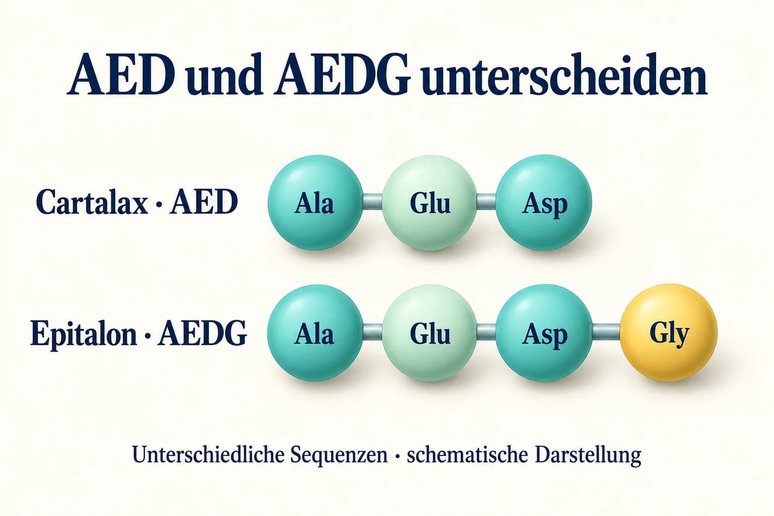 Cartalax mit drei Bausteinen Ala-Glu-Asp gegenüber Epitalon mit zusätzlichem Glycin in der AEDG-Sequenz