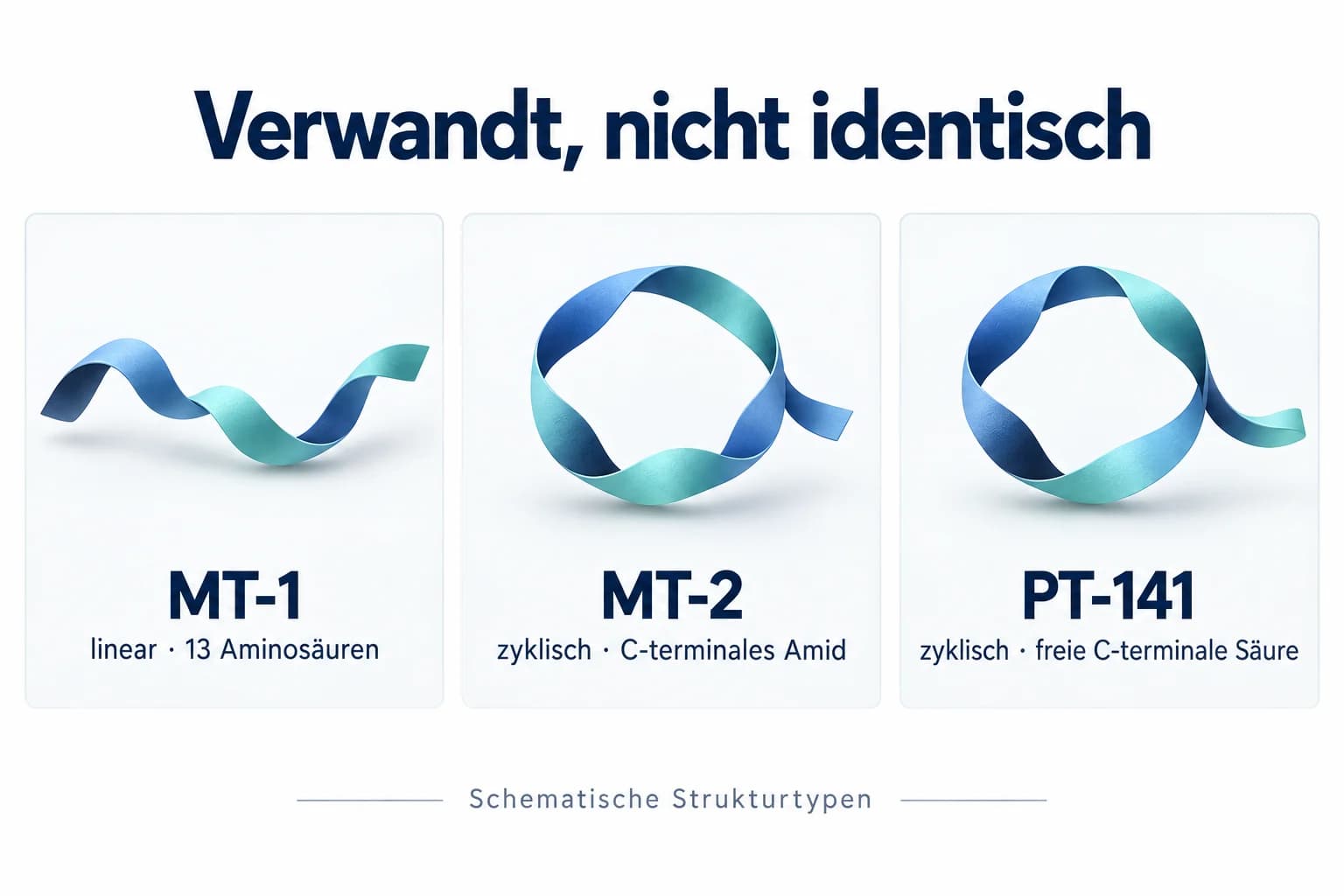 Schematischer Vergleich von linearem MT-1, zyklischem MT-2 mit Amid und zyklischem PT-141 mit freier Carbonsäure