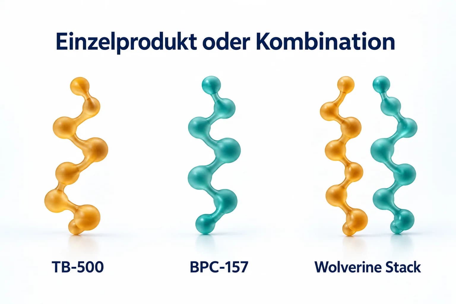 TB-500 und BPC-157 als getrennte schematische Peptide neben einer gemeinsamen Darstellung für den Wolverine Stack
