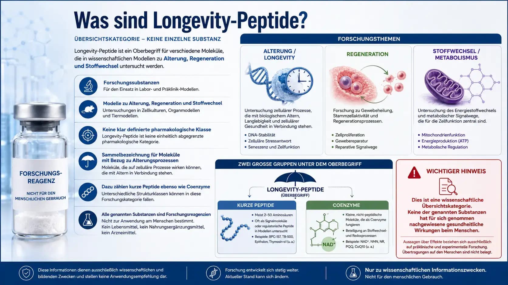Was sind Longevity-Peptide? Infografik zu Alterung, Regeneration, Stoffwechsel, kurzen Peptiden und Coenzymen