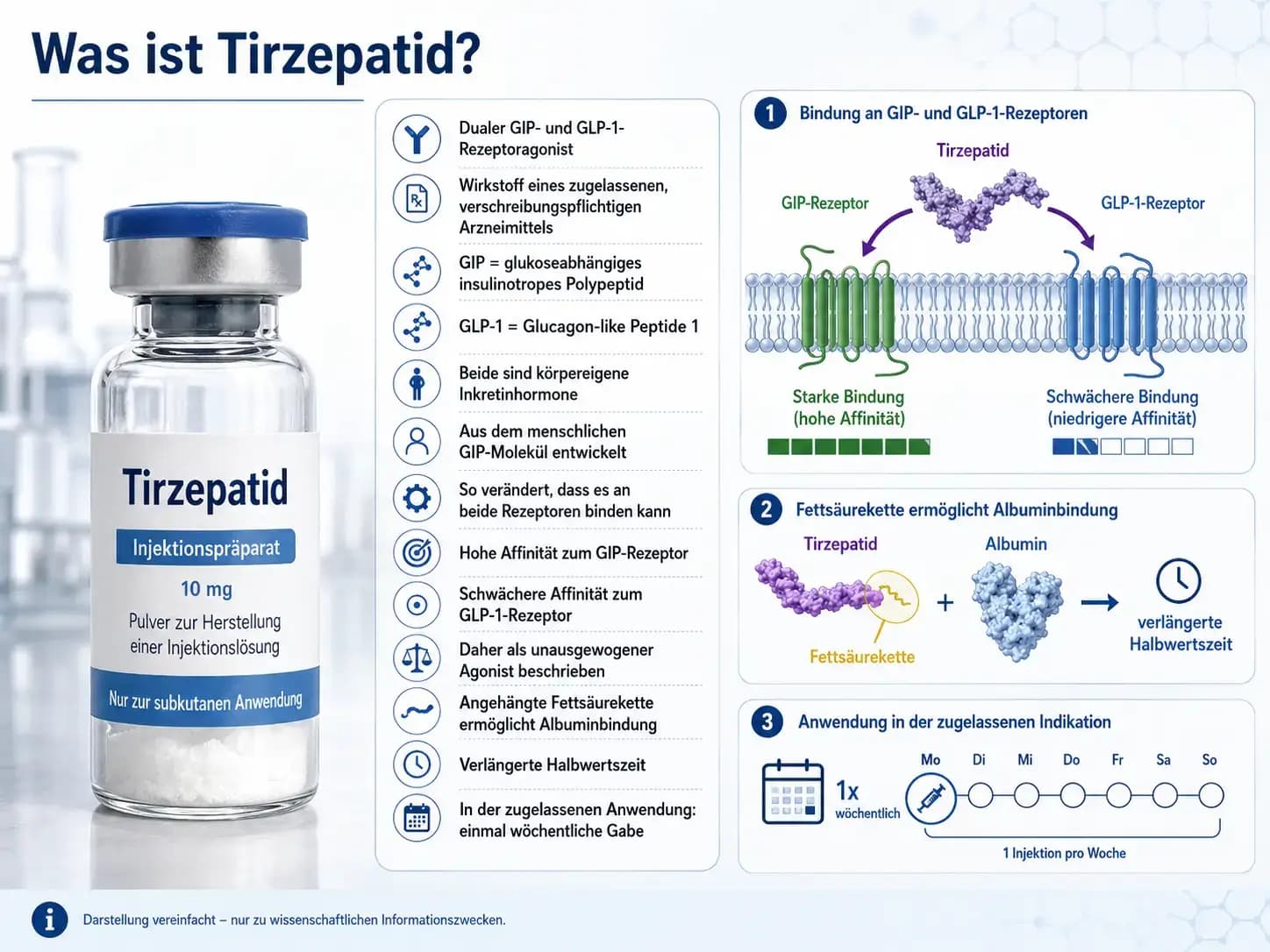 Was ist Tirzepatid? Infografik zur dualen GIP- und GLP-1-Rezeptorbindung, Albuminbindung und verlängerten Halbwertszeit