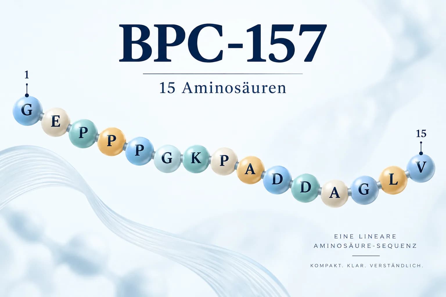 BPC-157 als schematische Kette der 15 Aminosäuren mit der Sequenz GEPPPGKPADDAGLV