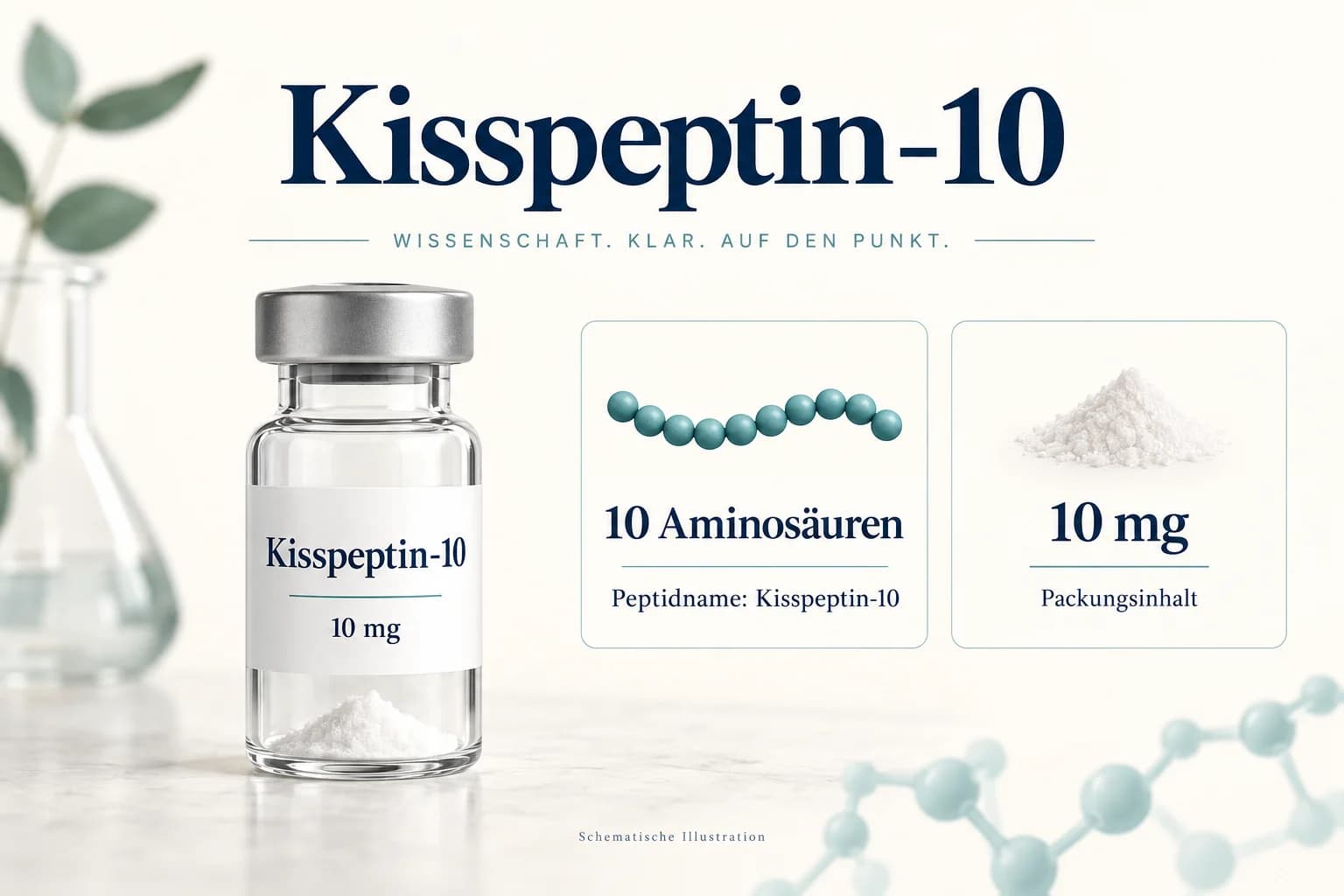 Kisspeptin-10-Vial mit 10 mg neben der Unterscheidung zwischen zehn Aminosäuren und zehn Milligramm Packungsinhalt