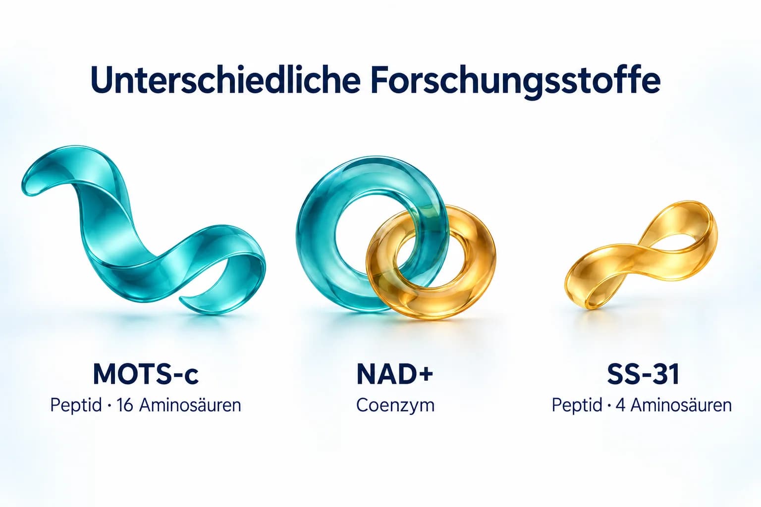 MOTS-c, NAD+ und SS-31 als drei getrennte Forschungsstoffe mit den Stoffklassen Peptid, Coenzym und Peptid