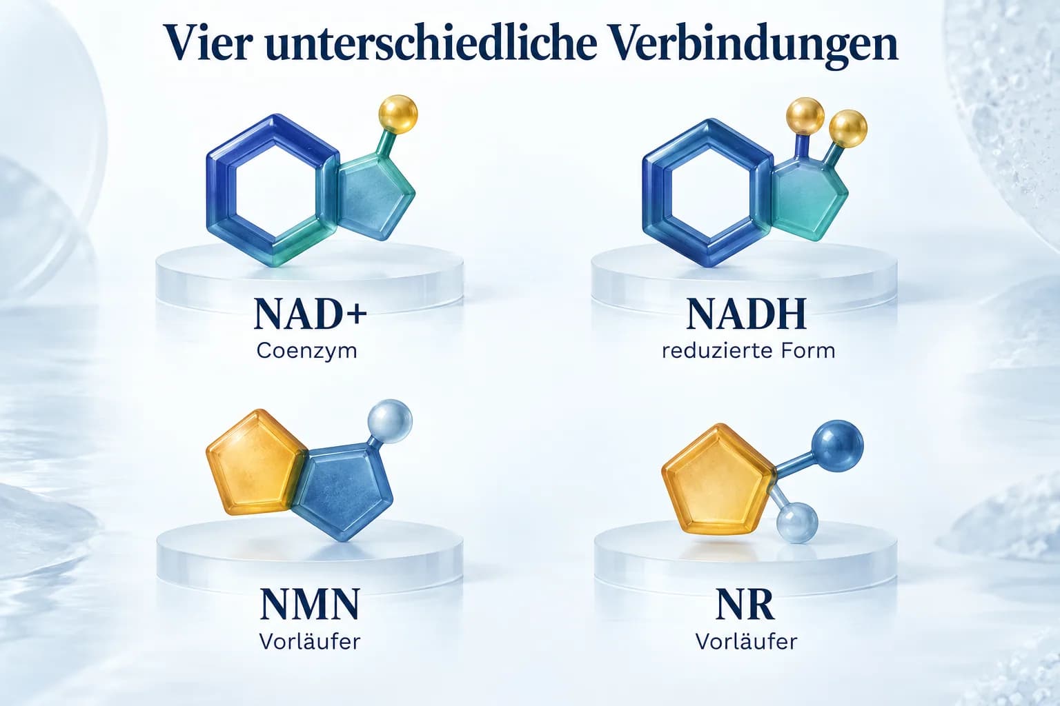 Vergleich von NAD+, NADH, NMN und NR mit den Bezeichnungen Coenzym, reduzierte Form und Vorläufer