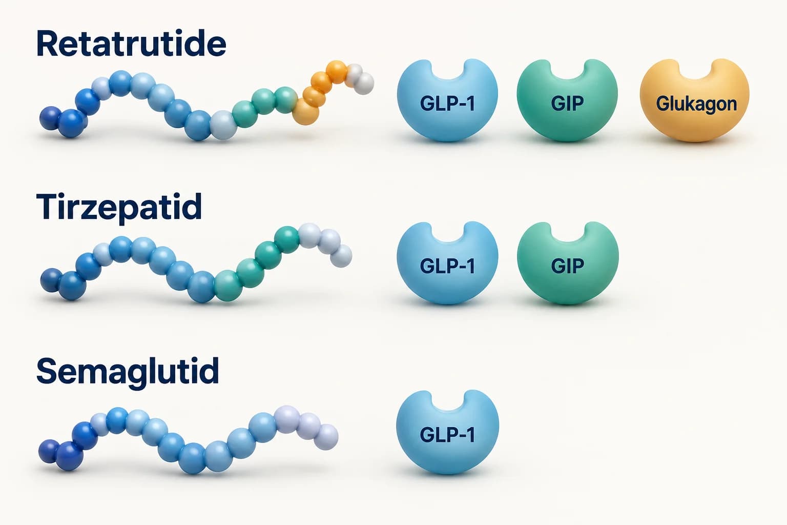 Rezeptorprofile im Vergleich: Retatrutide mit GLP-1, GIP und Glukagon, Tirzepatid mit GLP-1 und GIP, Semaglutid mit GLP-1