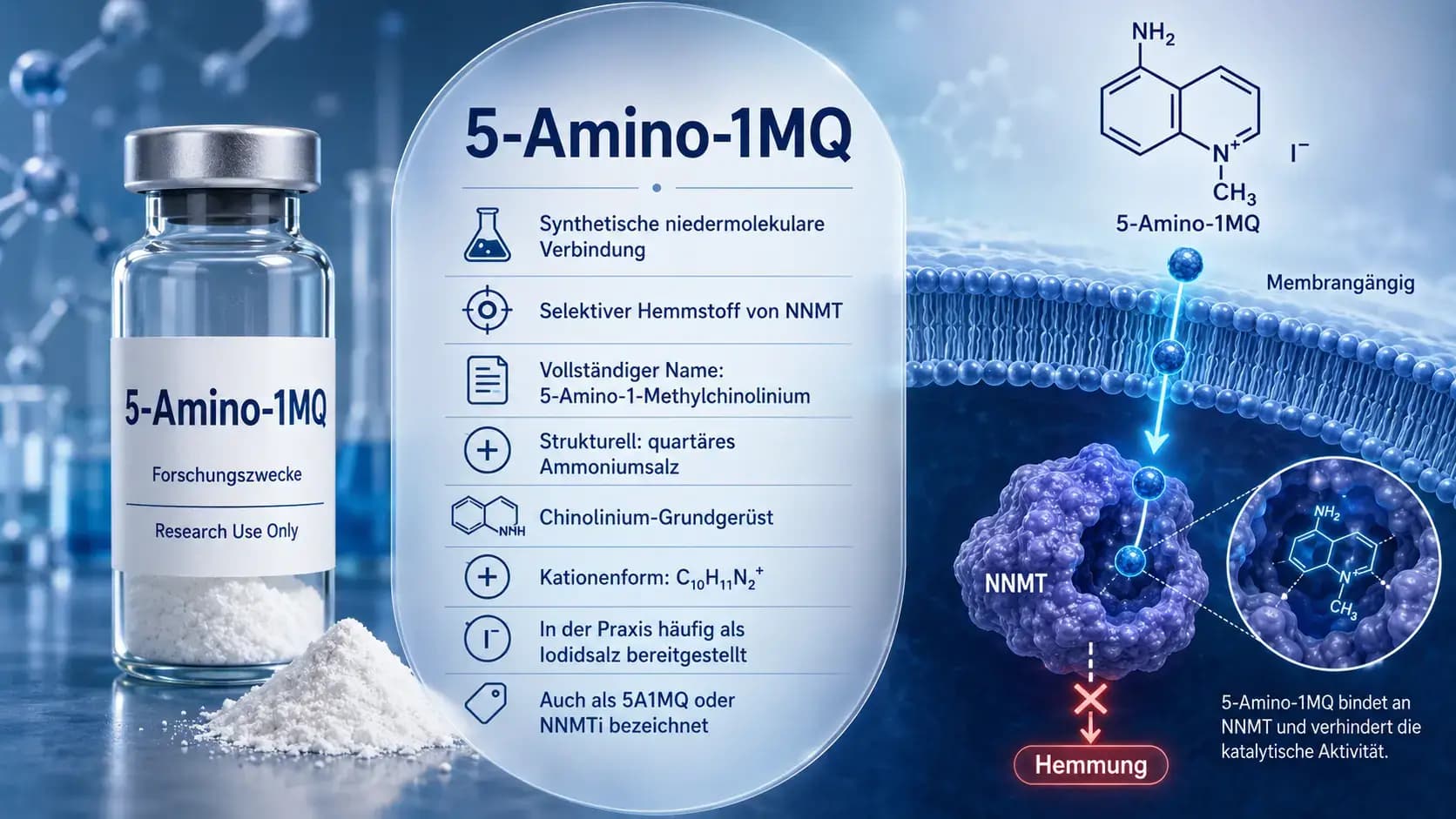 Was ist 5-Amino-1MQ? Visualisierung der niedermolekularen Verbindung als selektiver NNMT-Hemmer im Forschungskontext.