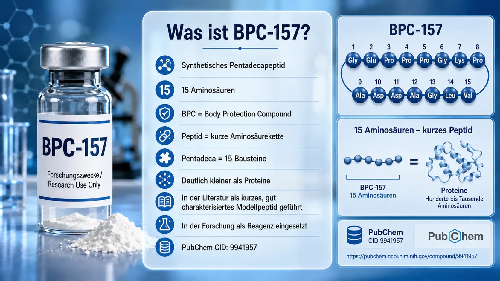 Was ist BPC-157? Übersicht zum synthetischen Pentadecapeptid, seiner korrekten Sequenz aus 15 Aminosäuren und der Einordnung als Forschungsreagenz.