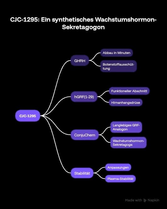 Diagramm: Was ist CJC-1295? Schematische Einordnung von GHRH, hGRF(1-29), ConjuChem und Stabilität.