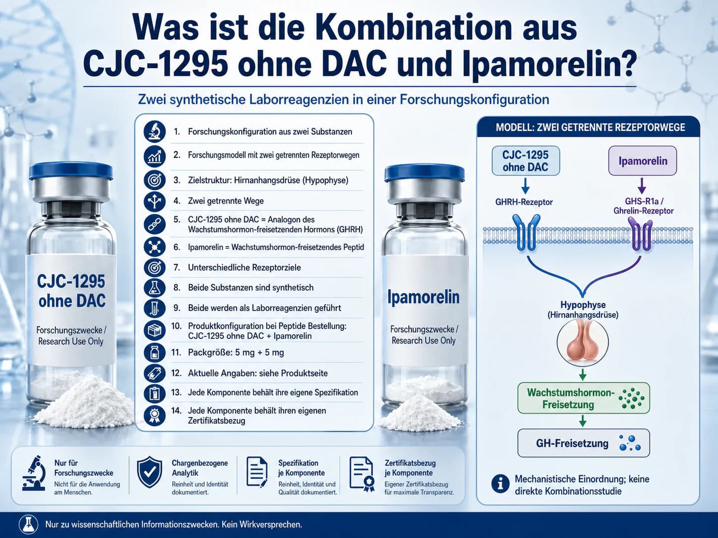 Was ist die Kombination aus CJC-1295 ohne DAC und Ipamorelin? Infografik zu GHRH-Rezeptor, GHS-R1a und zwei getrennten Signalwegen im Forschungsmodell.