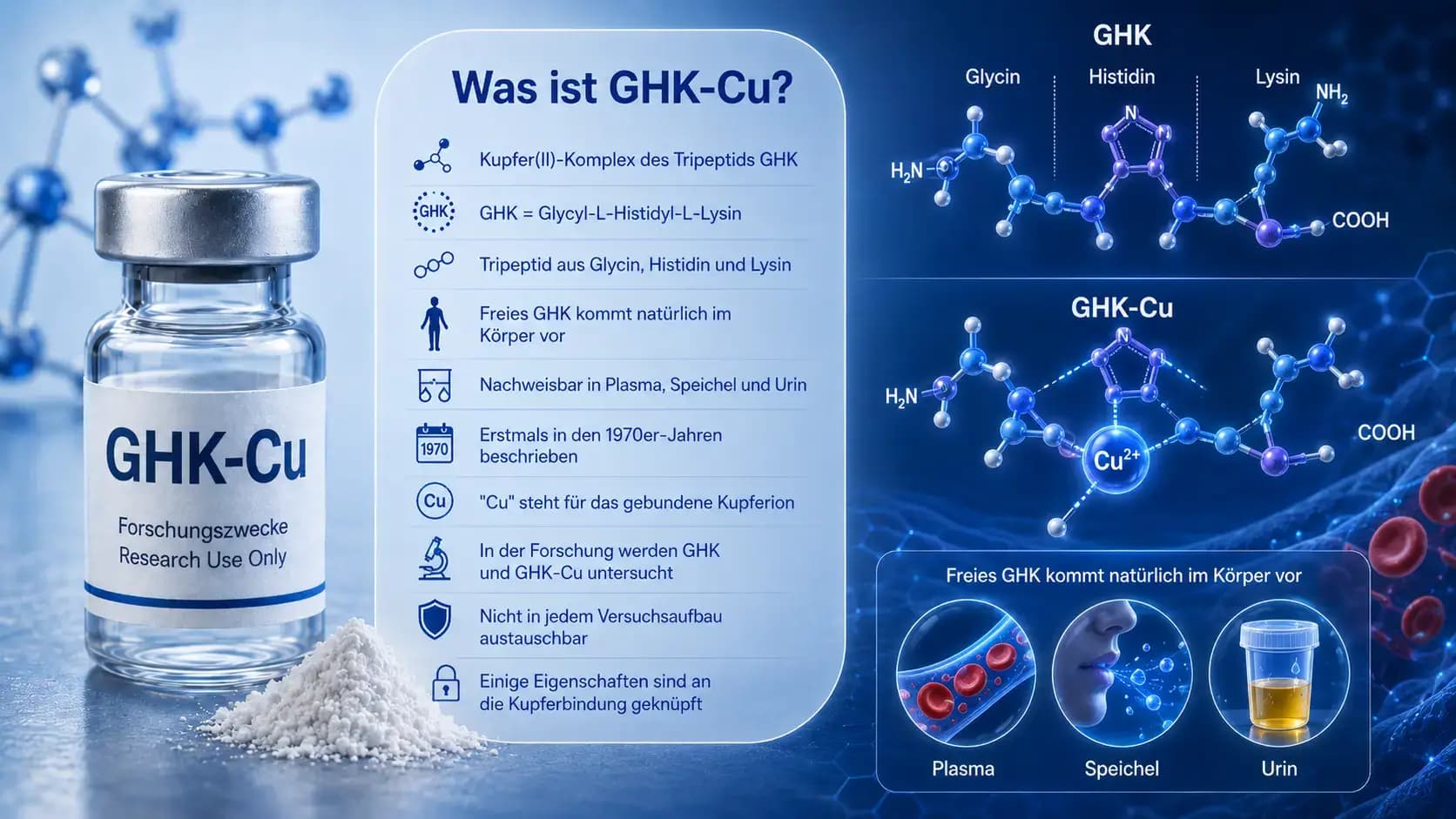Was ist GHK-Cu? Visualisierung des Kupfer(II)-Komplexes des Tripeptids Gly-His-Lys mit Molekülstruktur und natürlichem Vorkommen in Plasma, Speichel und Urin.