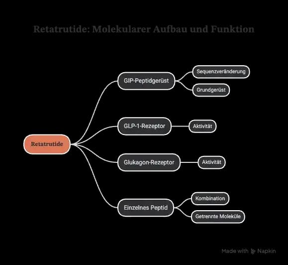 Retatrutide als Strukturdiagramm mit GIP-Peptidgerüst, GLP-1-Rezeptor, Glukagon-Rezeptor und einzelnem Peptid