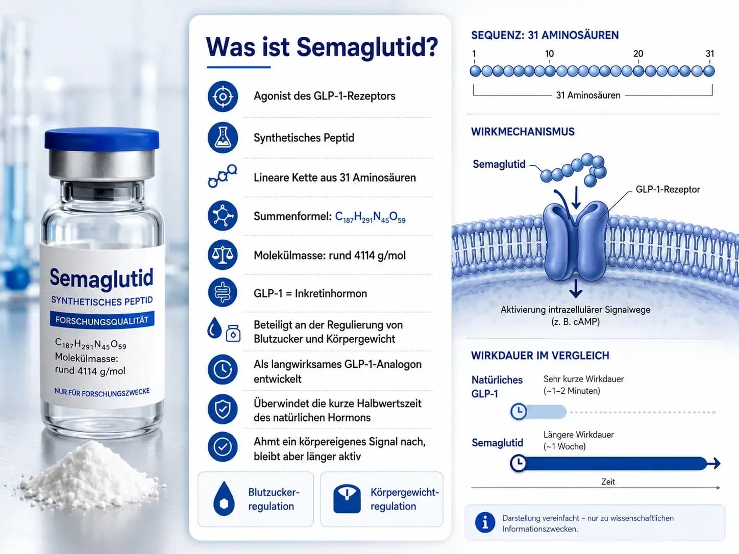 Was ist Semaglutid? Infografik zu 31 Aminosäuren, GLP-1-Rezeptor, Wirkmechanismus, Molekülmasse und verlängerter Wirkdauer
