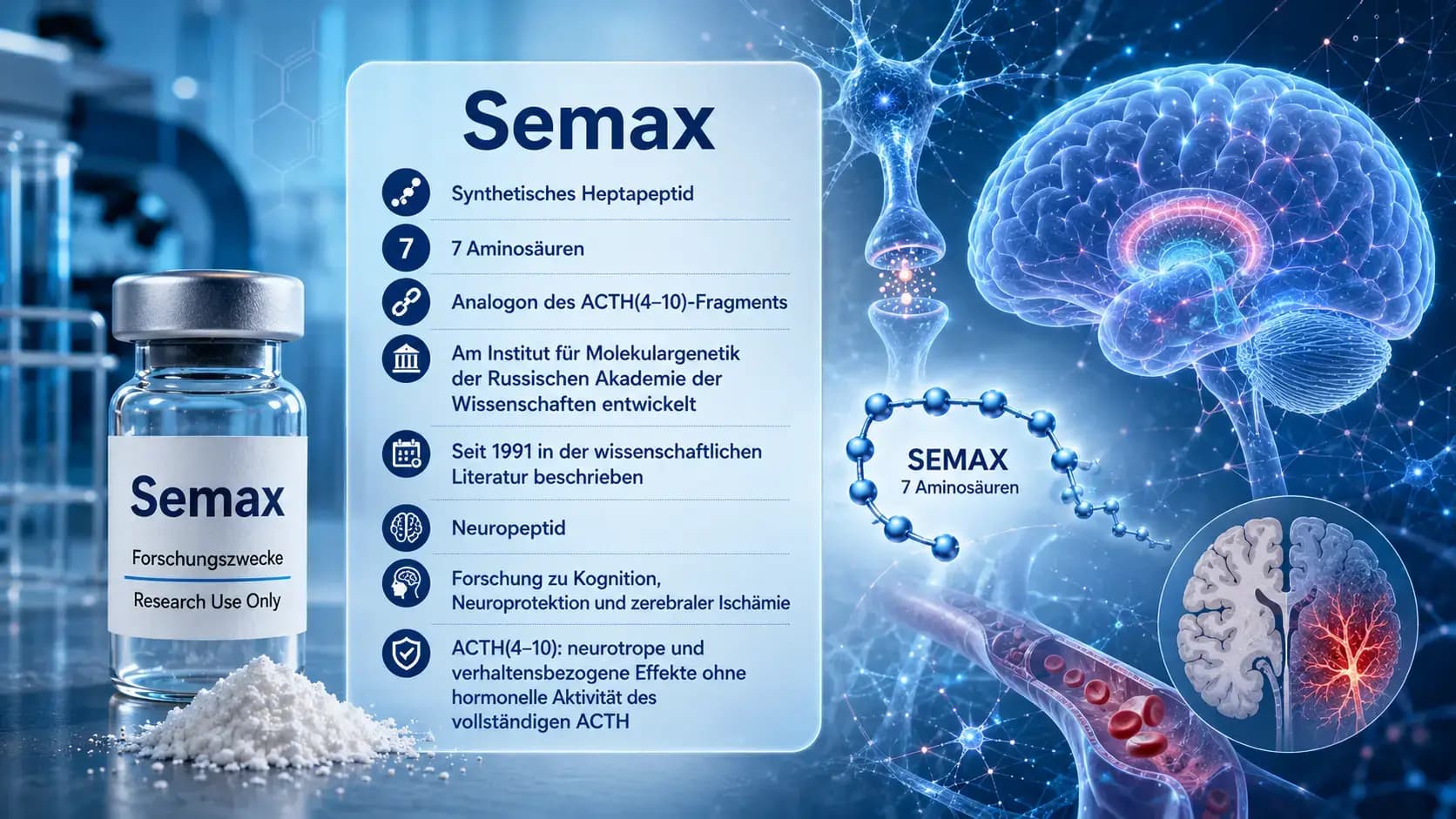 Was ist Semax? Visualisierung des synthetischen Heptapeptids aus sieben Aminosäuren als ACTH(4-10)-Analogon im neurobiologischen Forschungskontext.